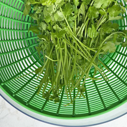 How To Store Cilantro Coriander Leaves Fresh For More Than 2 Weeks